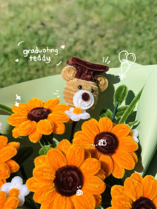 Graduating Teddy Add-On
